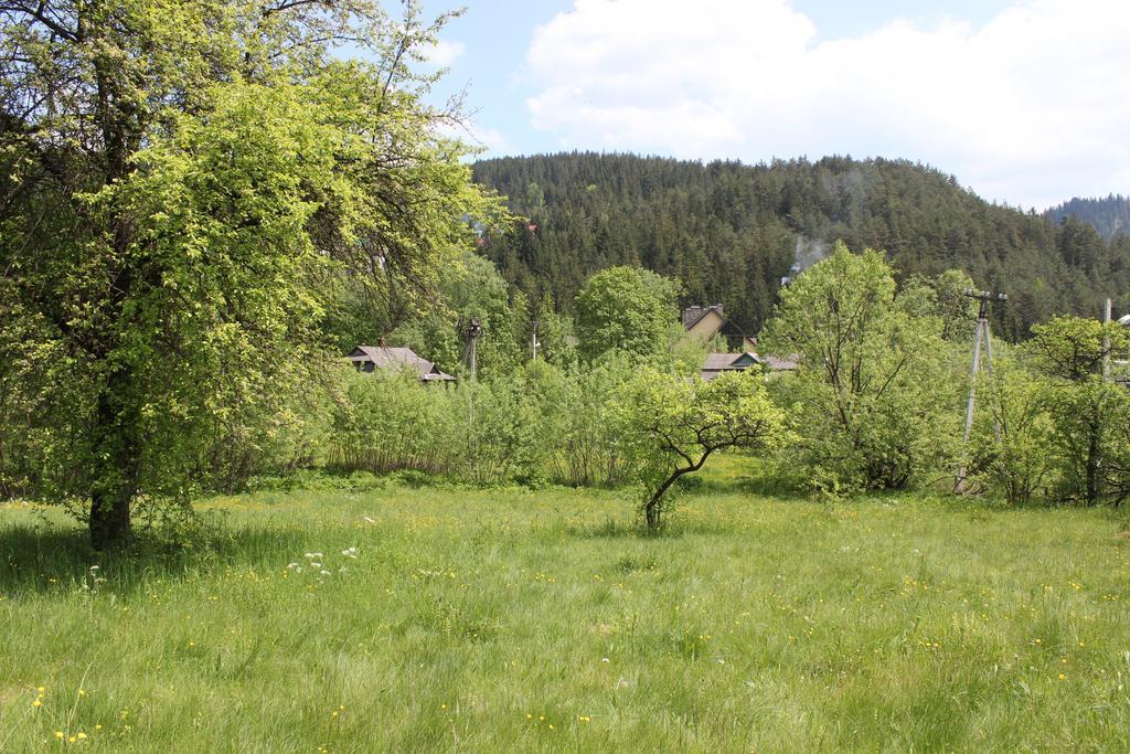 Krym Hotel Yaremche Luaran gambar