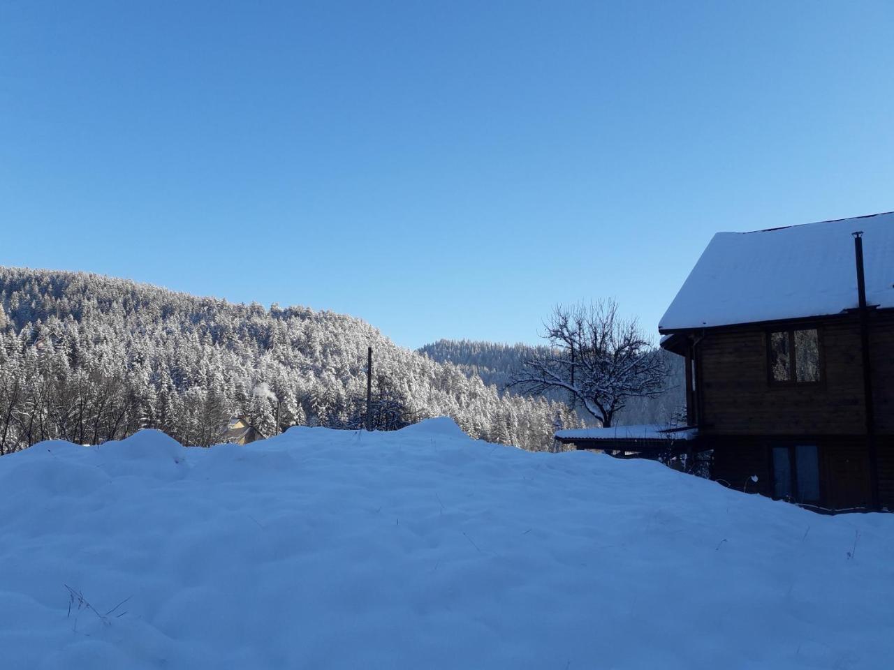 Krym Hotel Yaremche Luaran gambar